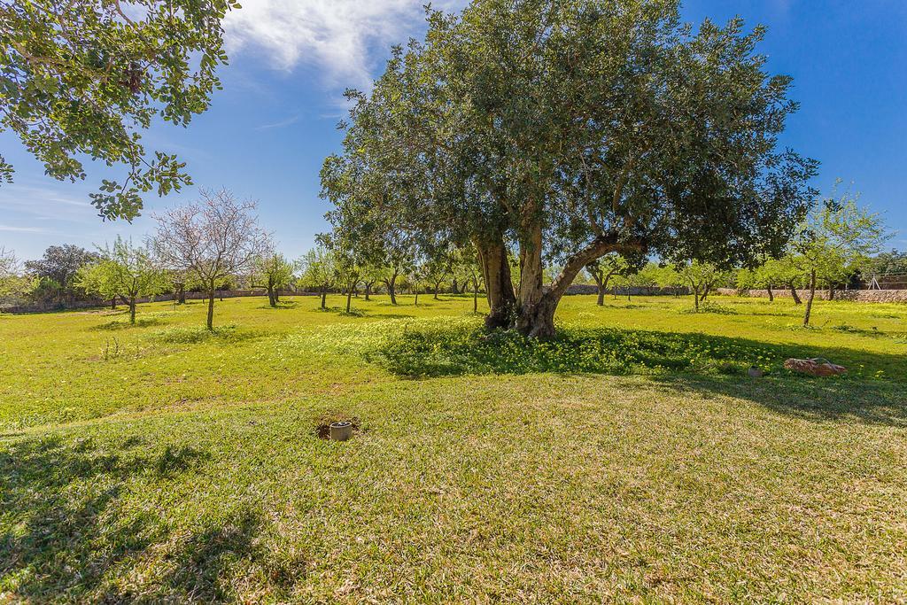 Finca Sa Foradada Cala d'Or  Ngoại thất bức ảnh